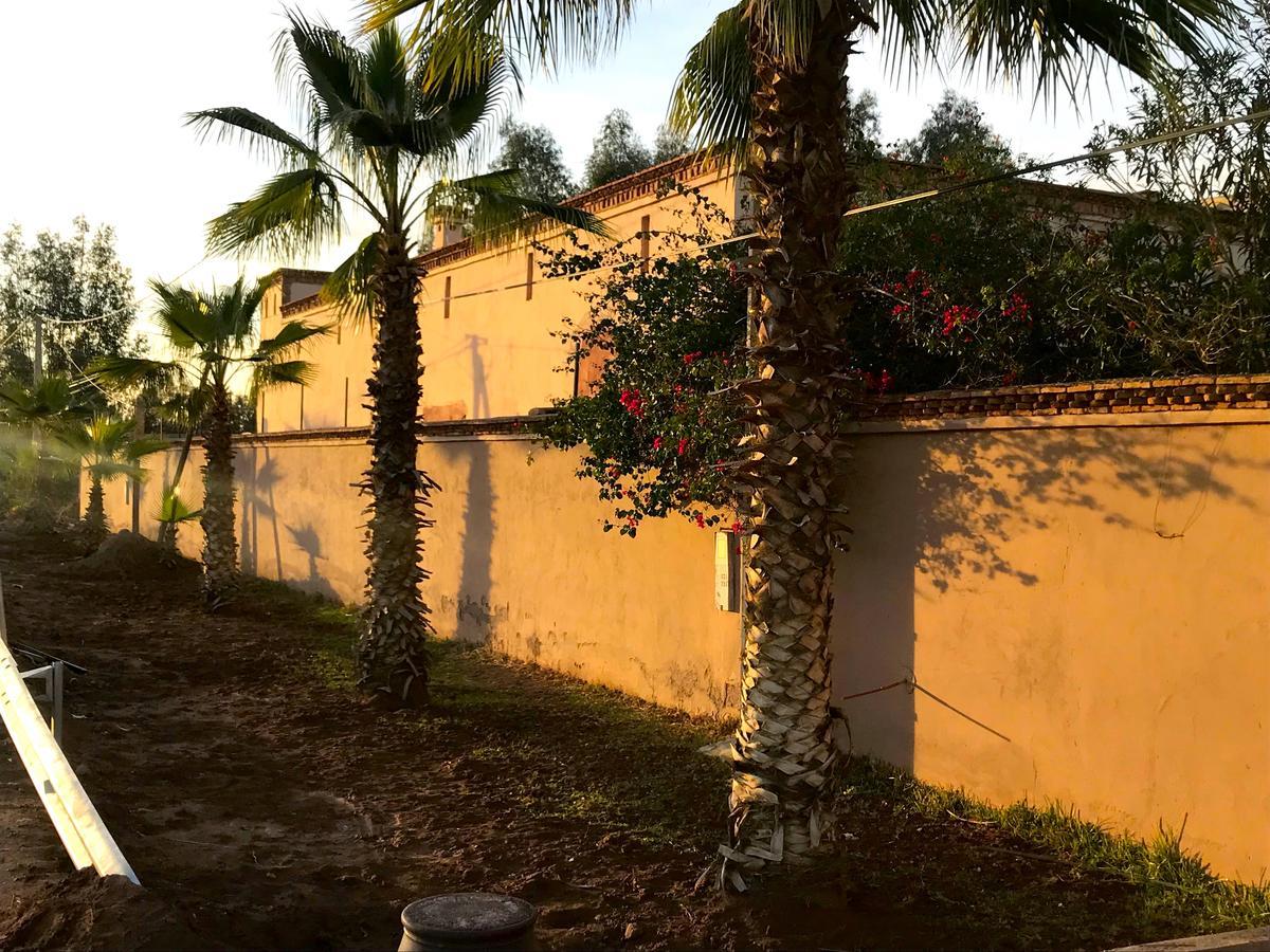 Willa Palais Souad Marrakesz Zewnętrze zdjęcie